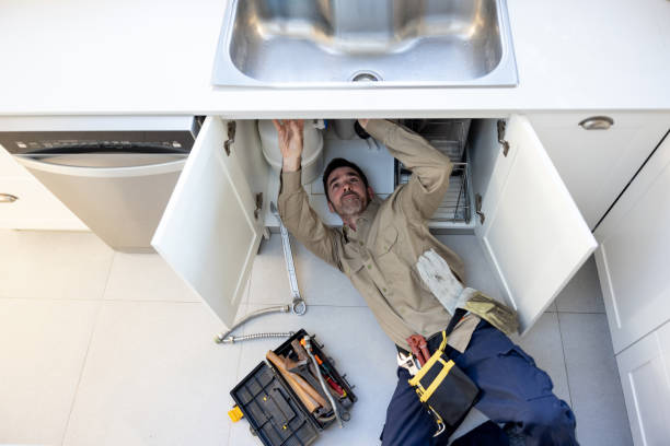 Best Clogged Drain Plumber  in Albany, CA