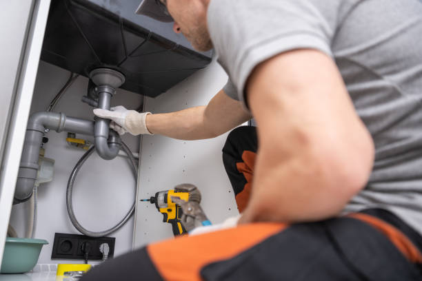Best Toilet Repair Services  in Albany, CA