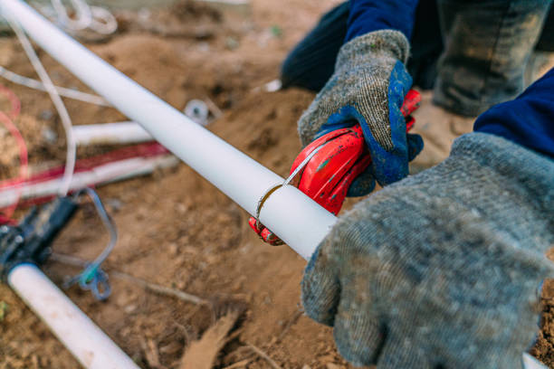 Best Drain Cleaning Services  in Albany, CA